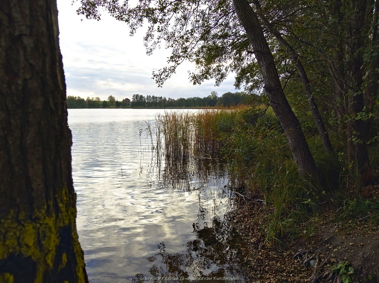 Jezioro Jerzyńskie (167.416015625 kB)
