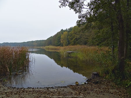 Jezioro Stęszewskie