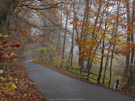 Jesienna droga do wsi Wyszki
