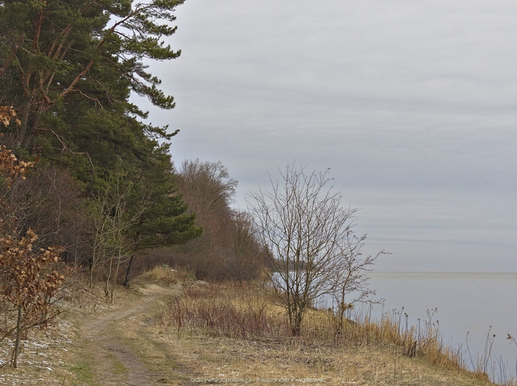Szlak wzdłuż brzegu Wisły (139.4853515625 kB)