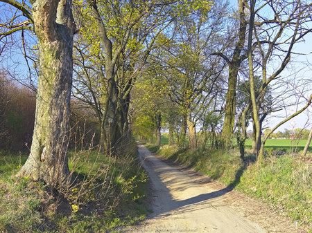 Żółty szlak rowerowy do Jarosławca