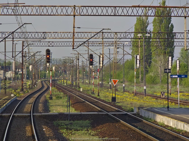 Wjazd kolejowy do Mogilna (199.298828125 kB)