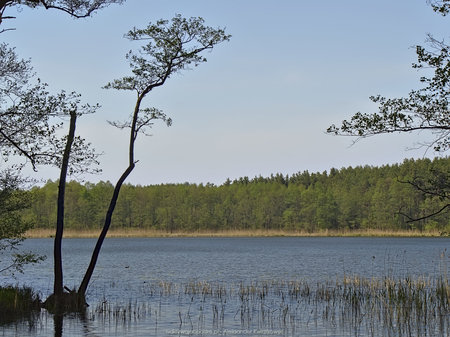 Jezioro Najmowo