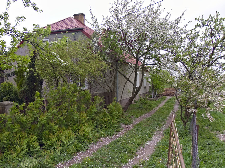Dom we wsi Gromoty (245.59375 kB)