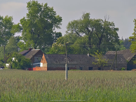 Wieś Piaski