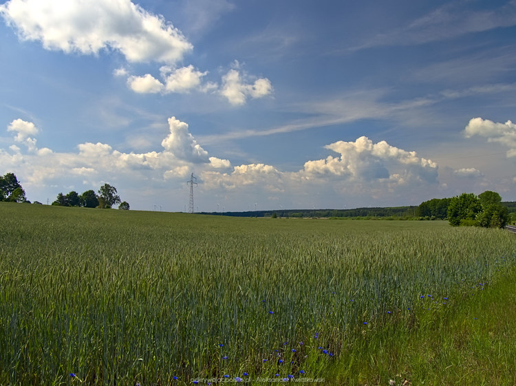 Zachodnie okolice wsi Połęcko (151.0595703125 kB)