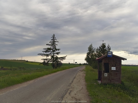 Przystanek we wsi Sylczno