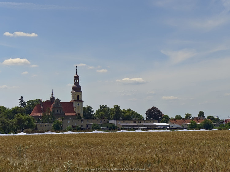 Wieś Smolice (106.9052734375 kB)