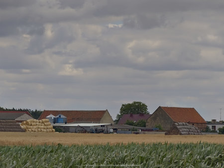 Wieś Betkowo