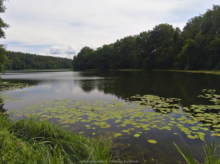 Jezioro Dębno