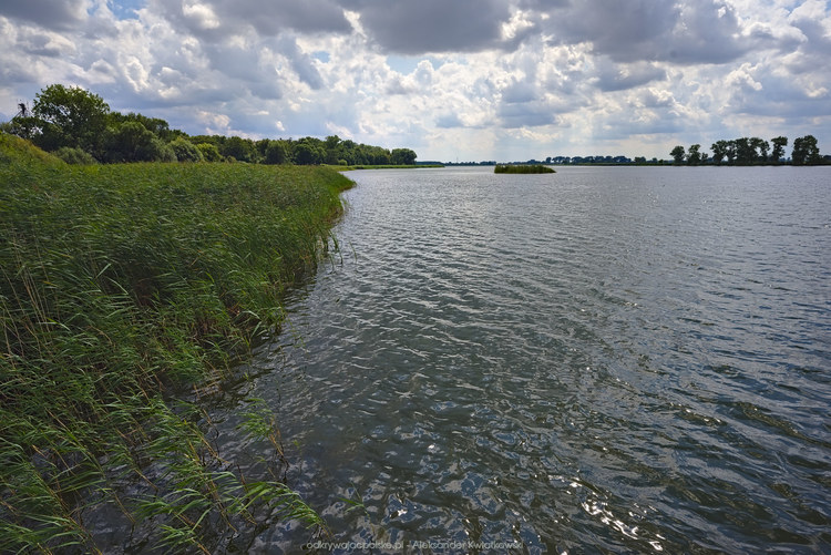 Jezioro Strykowskie (187.763671875 kB)