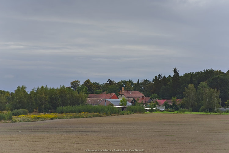 Okolica wsi Łęgowo (108.1435546875 kB)