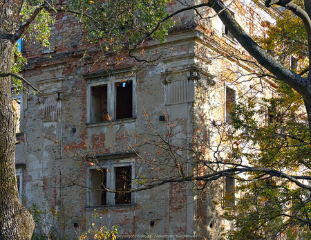 Ruiny w Wilkanowie