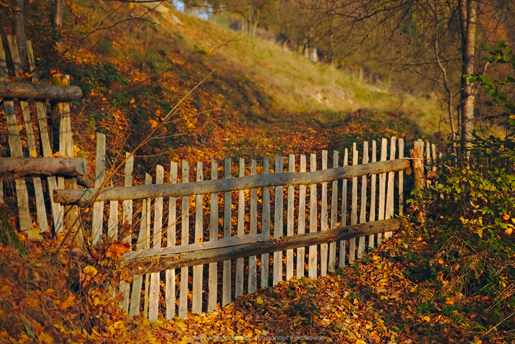 Drewniane ogrodzenie (258.5302734375 kB)