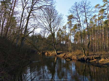 Rzeka Wełna