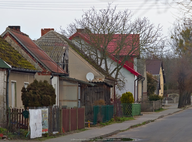 Główna ulica we wsi Zgierzynka (176.1494140625 kB)