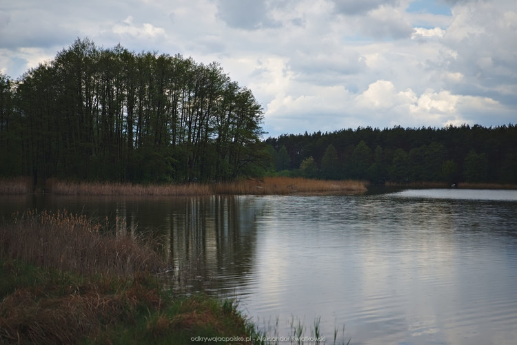 Jezioro Jerzyńskie (137.7666015625 kB)