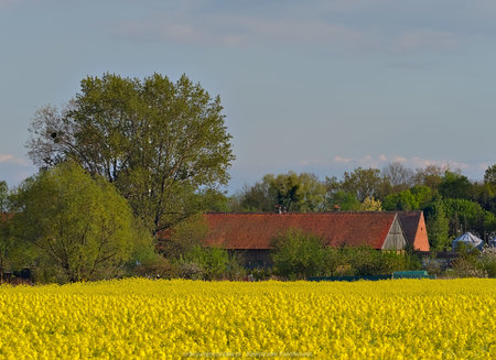Wieś Pomarzanowice wiosną