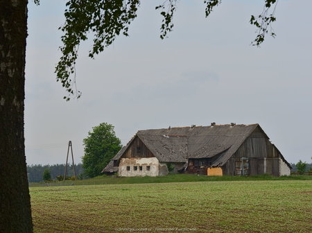 Stodoła we wsi Kołtki