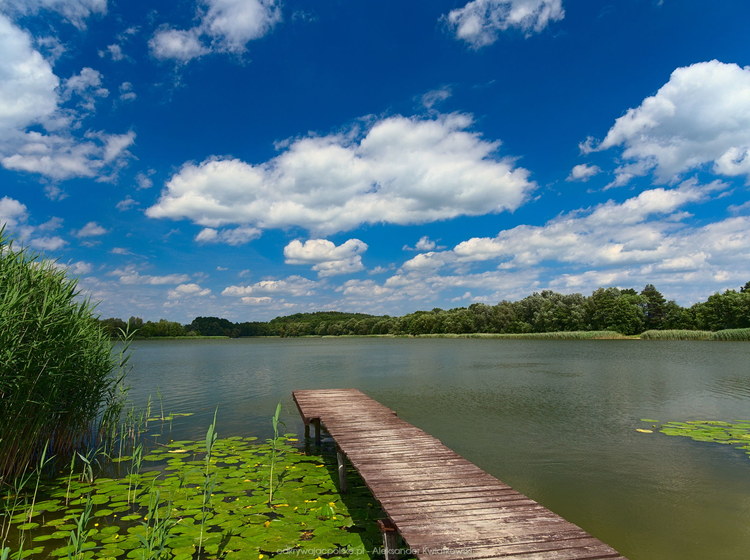 Jezioro Stryjewo (146.3369140625 kB)