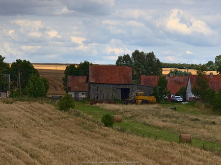 Wieś Pleśno