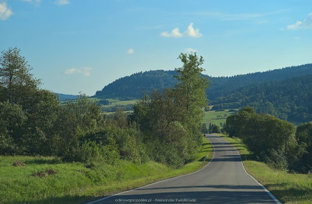 Droga Szklary - Daliowa
