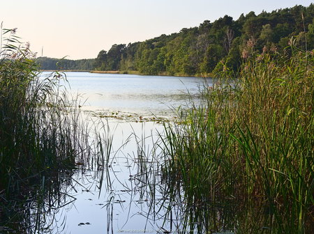 Jezioro Wronczyńskie