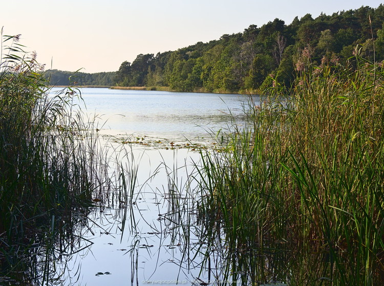 Jezioro Wronczyńskie (208.97265625 kB)