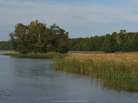 Jezioro Olejnickie