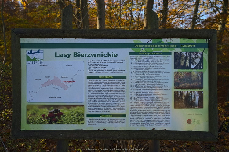 Lasy Bierzwnickie (169.2744140625 kB)