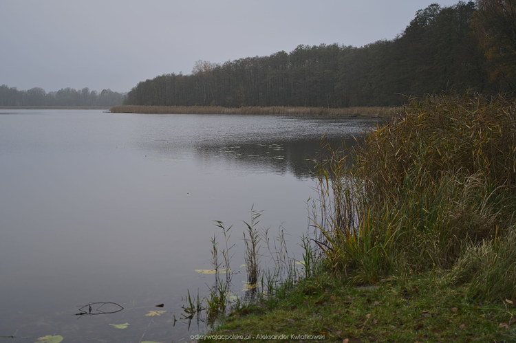 Jezioro Worowskie (127.126953125 kB)
