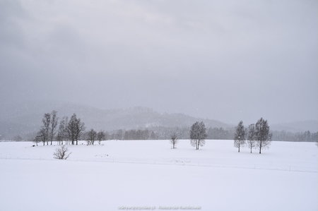 Śnieżny krajobraz