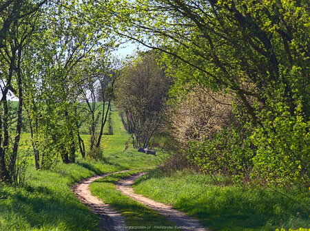 Droga do wsi Białężyn