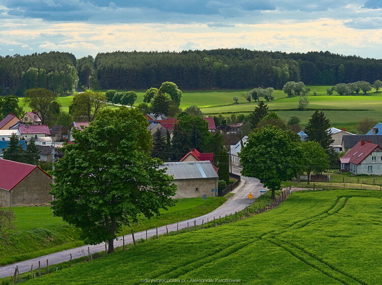 Widok na wieś Świechocin (179.5283203125 kB)