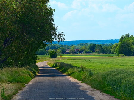 Droga do wsi Grodziszcze