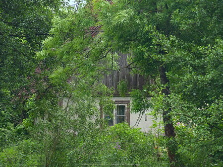 Dom w lesie