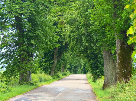 Droga do wsi Grudniki