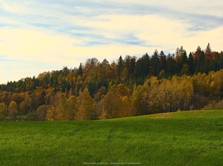 Wiosna na ziemi, jesień na drzewach (147.546875 kB)