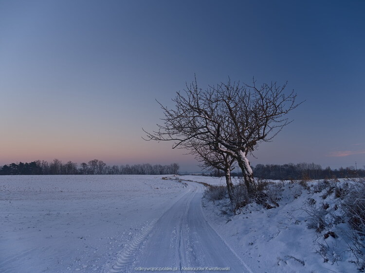 Zimowa ścieżka - 1.2° nad horyzontem (111.1416015625 kB)