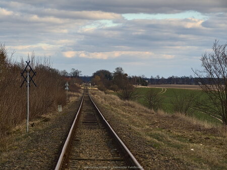 Tory kolejowe przy Witosławiu