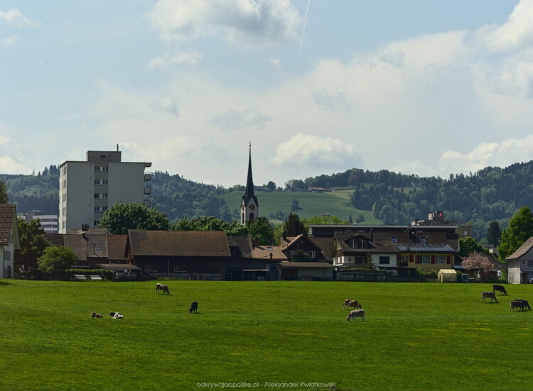 Okolica Niederuzwil (119.8583984375 kB)