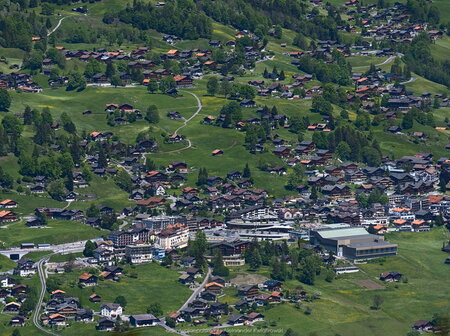 Widok na Grindenwald