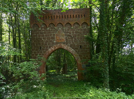 Ruiny w lesie