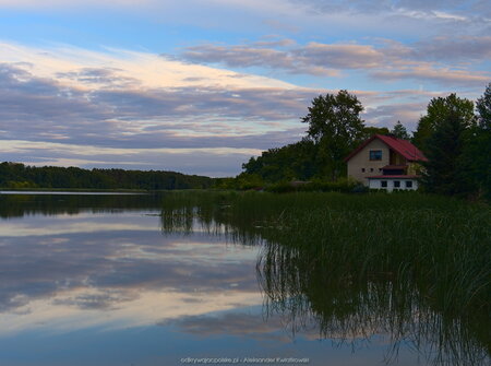 Jezioro Bukowskie obok Skoków