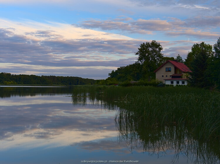 Jezioro Bukowskie obok Skoków (124.400390625 kB)